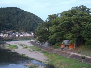 吉野杉の家